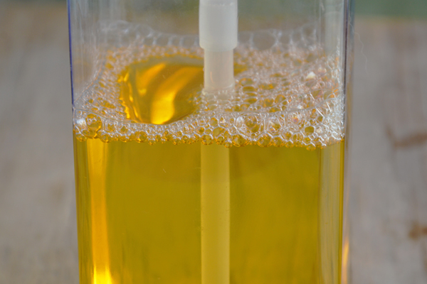 Dentist in Baton Rouge How to Properly Care for A Retainer